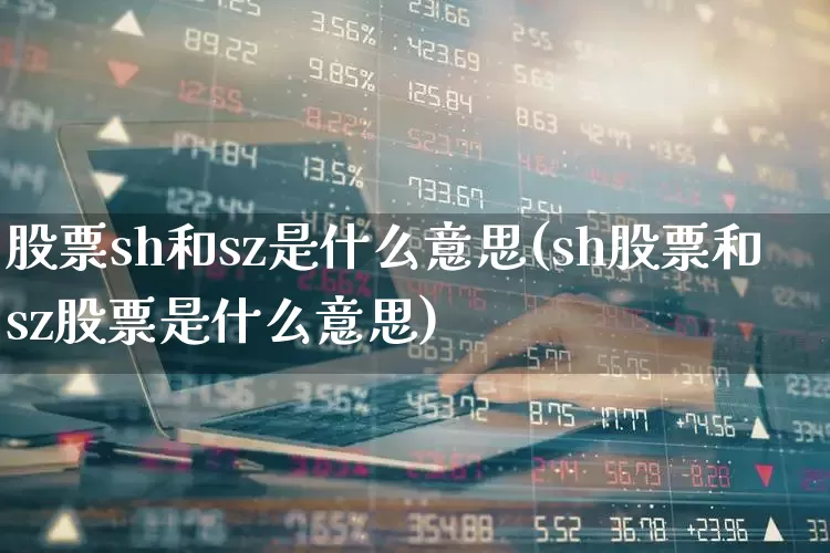 股票sh和sz是什么意思(sh股票和sz股票是什么意思)_https://www.ccit-cctv.com_上交所_第1张