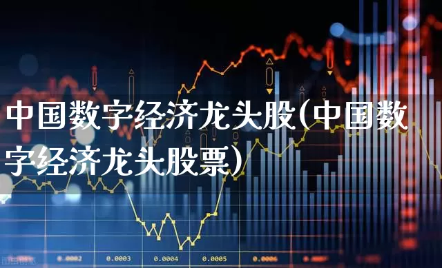 中国数字经济龙头股(中国数字经济龙头股票)_https://www.ccit-cctv.com_科创板_第1张