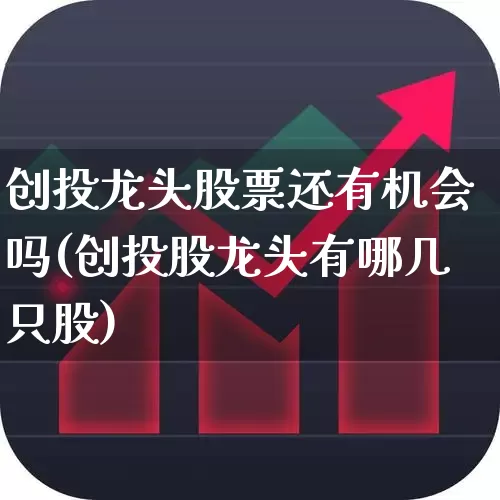 创投龙头股票还有机会吗(创投股龙头有哪几只股)_https://www.ccit-cctv.com_北交所_第1张