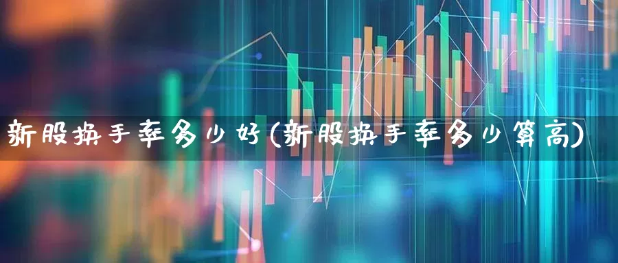 新股换手率多少好(新股换手率多少算高)_https://www.ccit-cctv.com_深交所_第1张