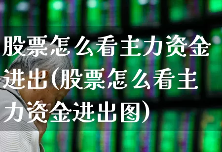 股票怎么看主力资金进出(股票怎么看主力资金进出图)_https://www.ccit-cctv.com_创业板_第1张