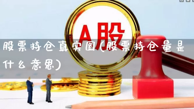 股票持仓真实图(股票持仓量是什么意思)_https://www.ccit-cctv.com_北交所_第1张