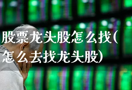 股票龙头股怎么找(怎么去找龙头股)_https://www.ccit-cctv.com_上交所_第1张