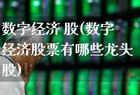 数字经济 股(数字经济股票有哪些龙头股)_https://www.ccit-cctv.com_北交所_第1张