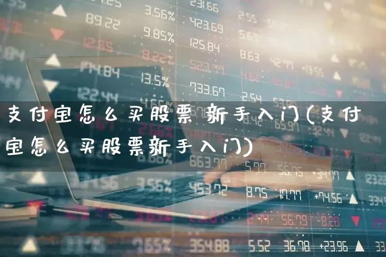支付宝怎么买股票 新手入门(支付宝怎么买股票新手入门)_https://www.ccit-cctv.com_科创板_第1张