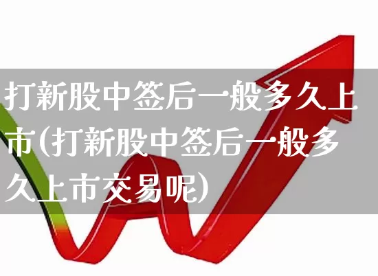 打新股中签后一般多久上市(打新股中签后一般多久上市交易呢)_https://www.ccit-cctv.com_深交所_第1张