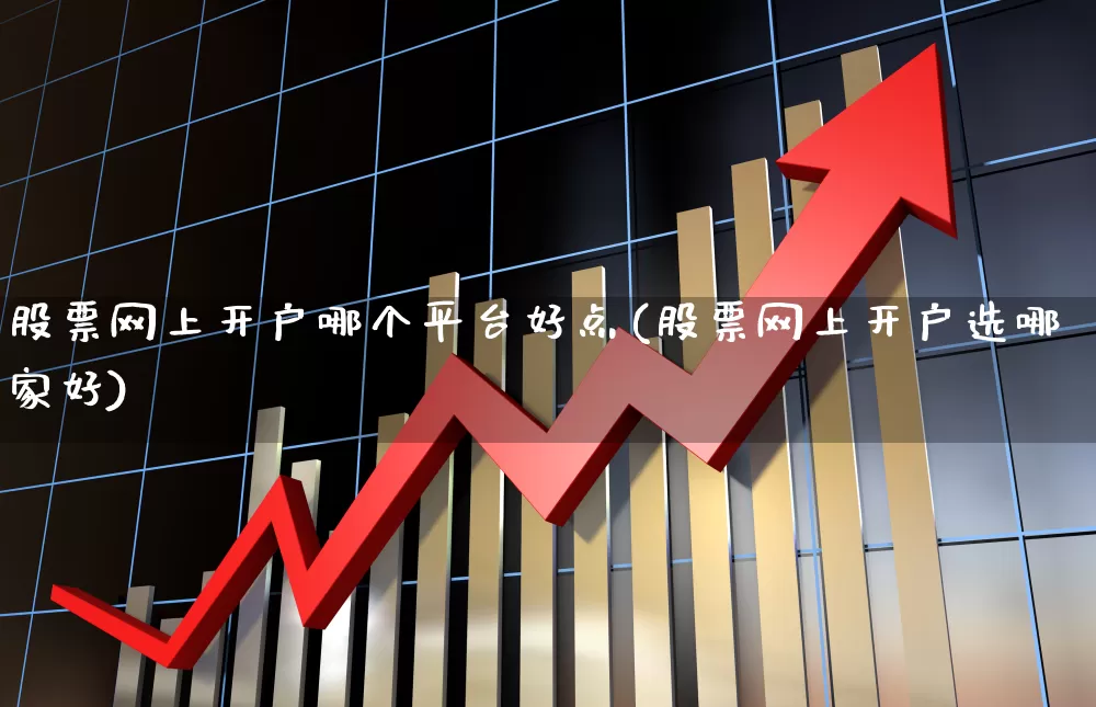 股票网上开户哪个平台好点(股票网上开户选哪家好)_https://www.ccit-cctv.com_北交所_第1张
