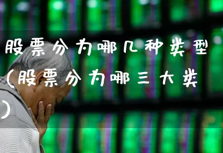股票分为哪几种类型(股票分为哪三大类)_https://www.ccit-cctv.com_北交所_第1张