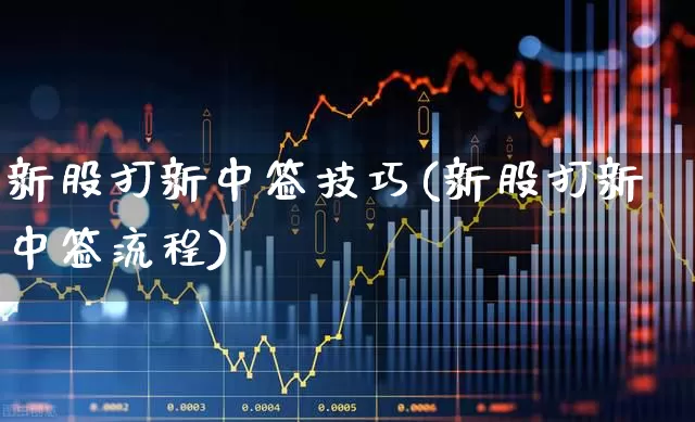 新股打新中签技巧(新股打新中签流程)_https://www.ccit-cctv.com_创业板_第1张