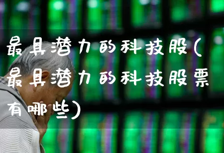 最具潜力的科技股(最具潜力的科技股票有哪些)_https://www.ccit-cctv.com_深交所_第1张