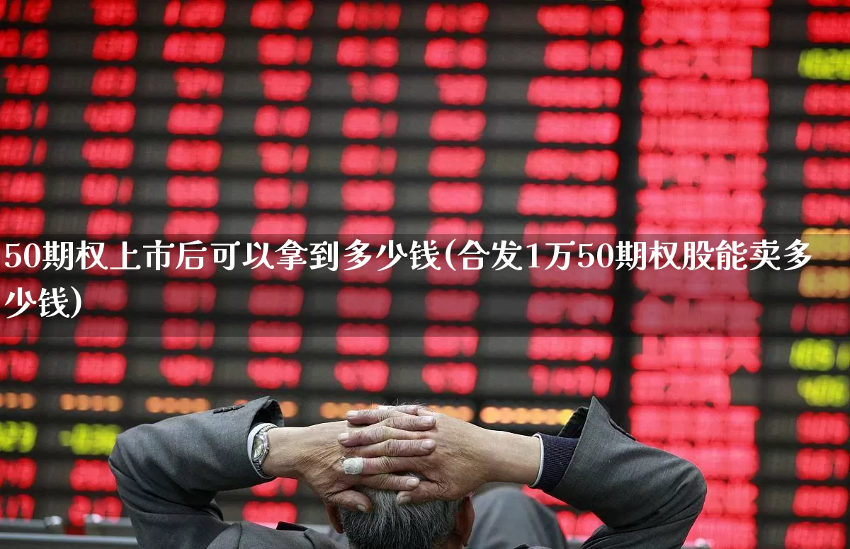 50期权上市后可以拿到多少钱(合发1万50期权股能卖多少钱)_https://www.ccit-cctv.com_创业板_第1张