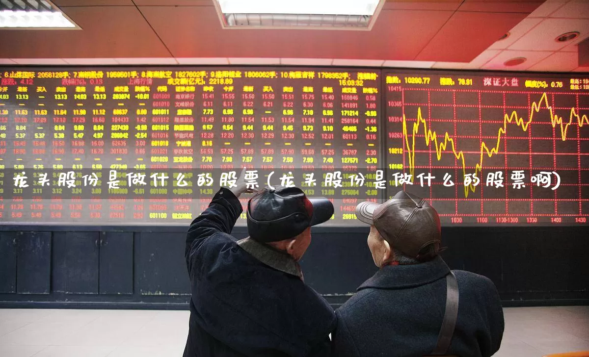 龙头股份是做什么的股票(龙头股份是做什么的股票啊)_https://www.ccit-cctv.com_创业板_第1张