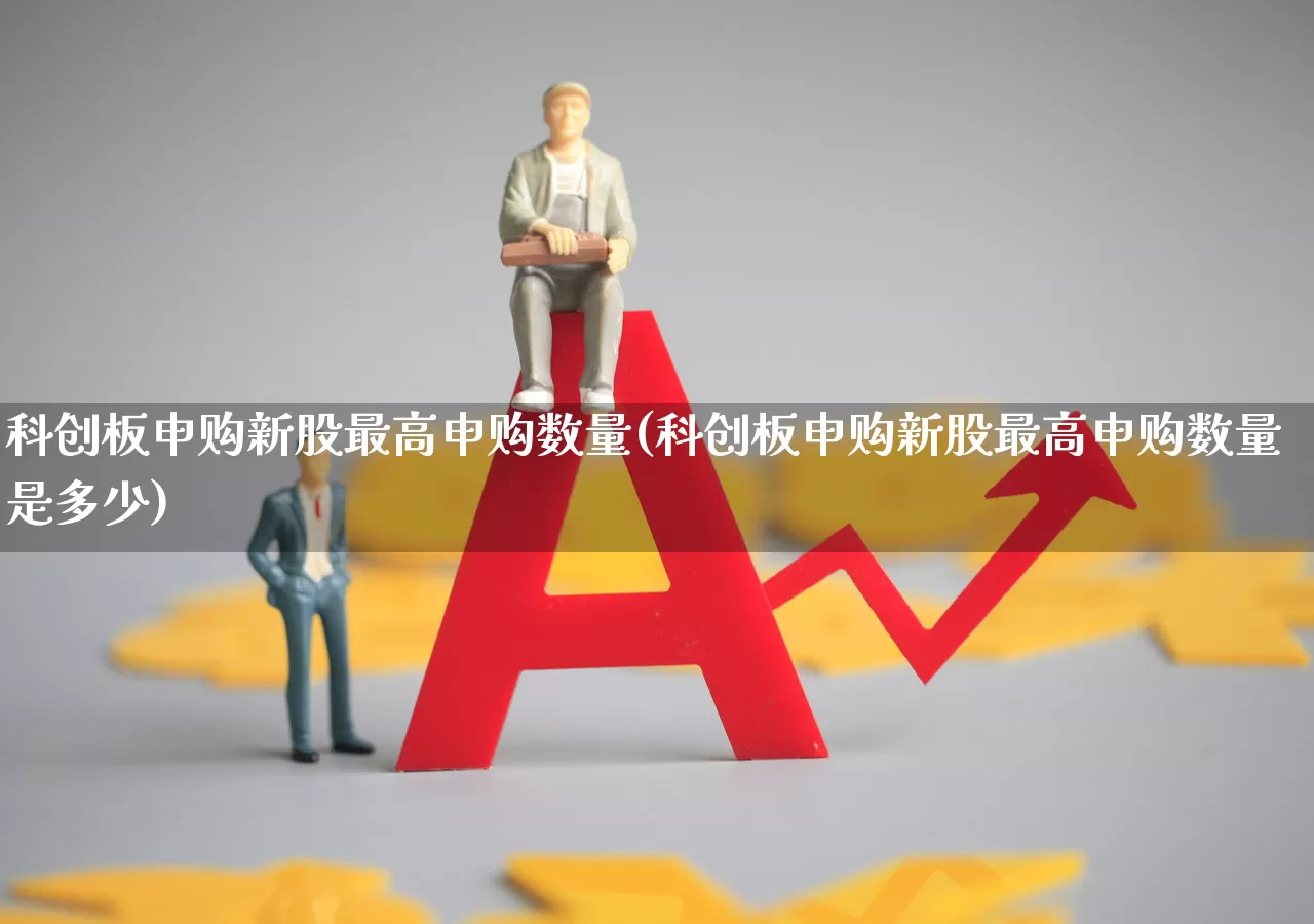科创板申购新股最高申购数量(科创板申购新股最高申购数量是多少)_https://www.ccit-cctv.com_上交所_第1张