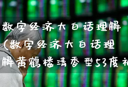 数字经济大白话理解(数字经济大白话理解黄鹤楼清香型53度礼中礼)_https://www.ccit-cctv.com_上交所_第1张