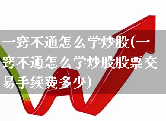 一窍不通怎么学炒股(一窍不通怎么学炒股股票交易手续费多少)_https://www.ccit-cctv.com_创业板_第1张