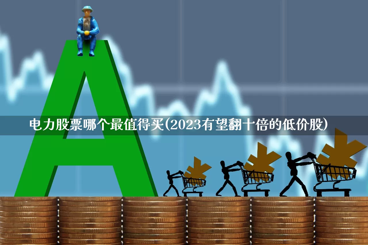 电力股票哪个最值得买(2023有望翻十倍的低价股)_https://www.ccit-cctv.com_创业板_第1张