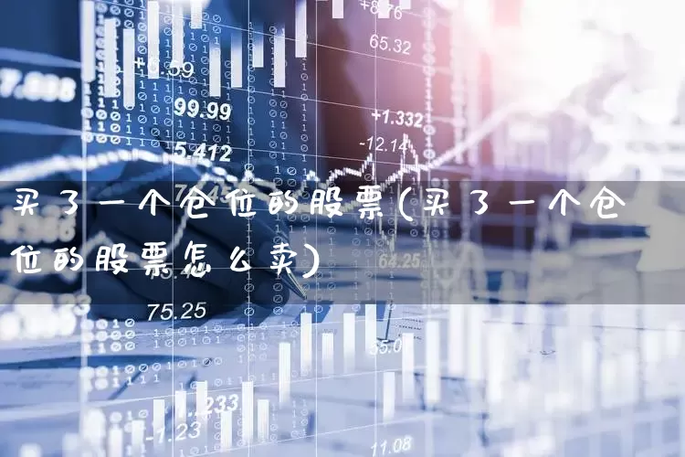 买了一个仓位的股票(买了一个仓位的股票怎么卖)_https://www.ccit-cctv.com_深交所_第1张