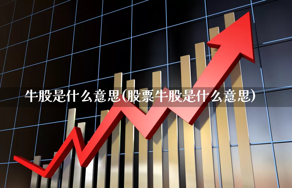 牛股是什么意思(股票牛股是什么意思)_https://www.ccit-cctv.com_上交所_第1张