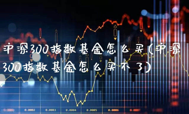 沪深300指数基金怎么买(沪深300指数基金怎么买不了)_https://www.ccit-cctv.com_创业板_第1张