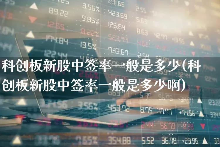 科创板新股中签率一般是多少(科创板新股中签率一般是多少啊)_https://www.ccit-cctv.com_深交所_第1张
