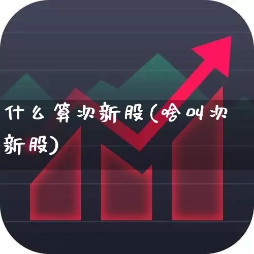 什么算次新股(啥叫次新股)_https://www.ccit-cctv.com_深交所_第1张