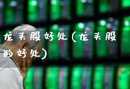 龙头股好处(龙头股的好处)_https://www.ccit-cctv.com_上交所_第1张