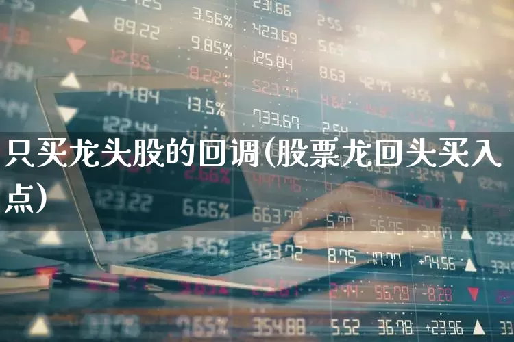只买龙头股的回调(股票龙回头买入点)_https://www.ccit-cctv.com_科创板_第1张