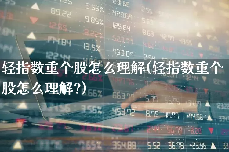 轻指数重个股怎么理解(轻指数重个股怎么理解?)_https://www.ccit-cctv.com_北交所_第1张