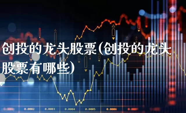 创投的龙头股票(创投的龙头股票有哪些)_https://www.ccit-cctv.com_深交所_第1张