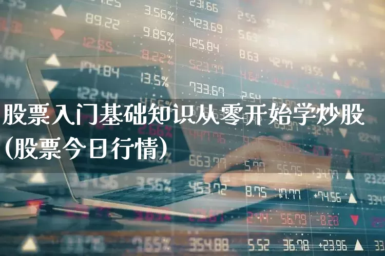 股票入门基础知识从零开始学炒股(股票今日行情)_https://www.ccit-cctv.com_上交所_第1张