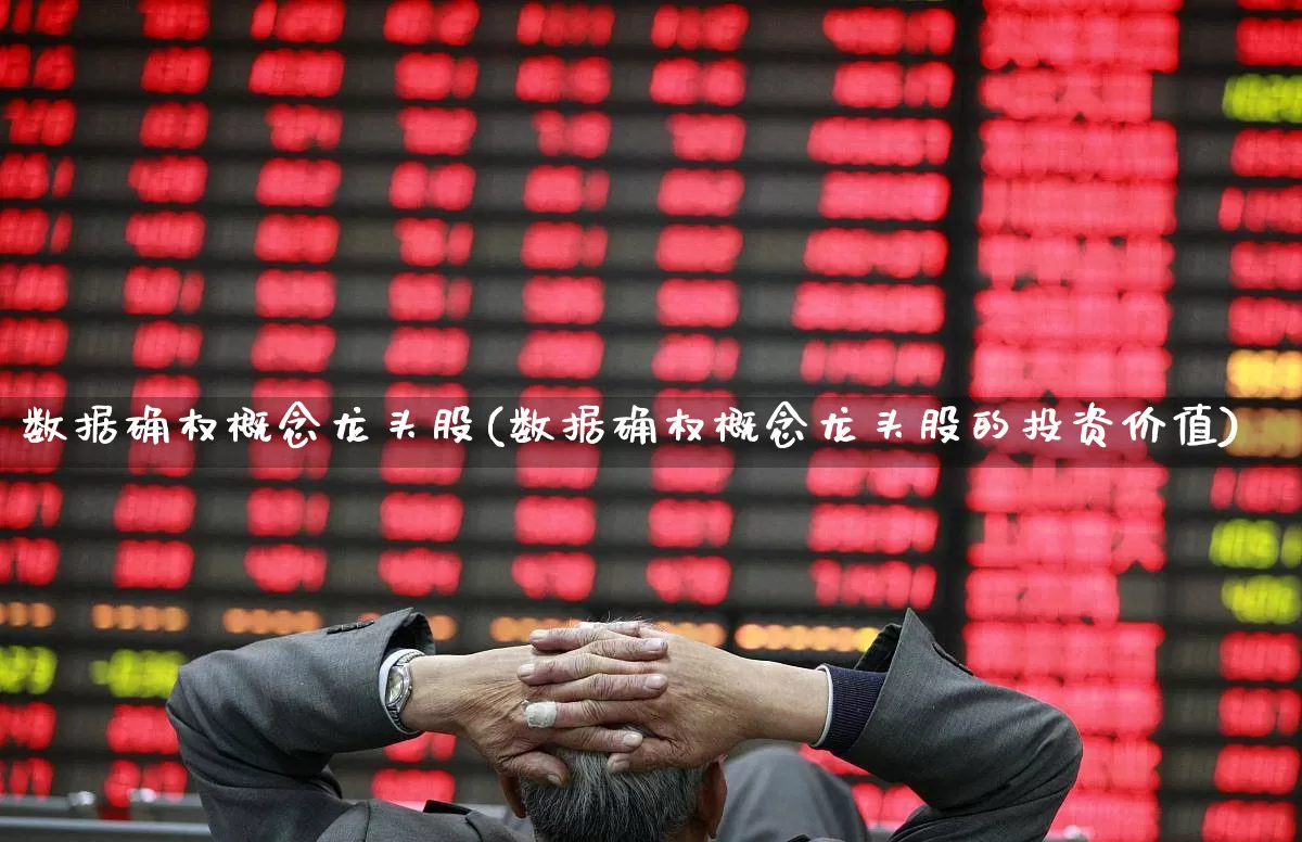 数据确权概念龙头股(数据确权概念龙头股的投资价值)_https://www.ccit-cctv.com_北交所_第1张