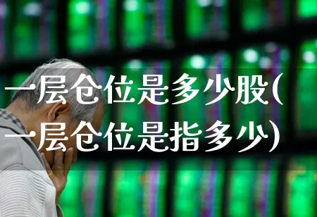 一层仓位是多少股(一层仓位是指多少)_https://www.ccit-cctv.com_北交所_第1张