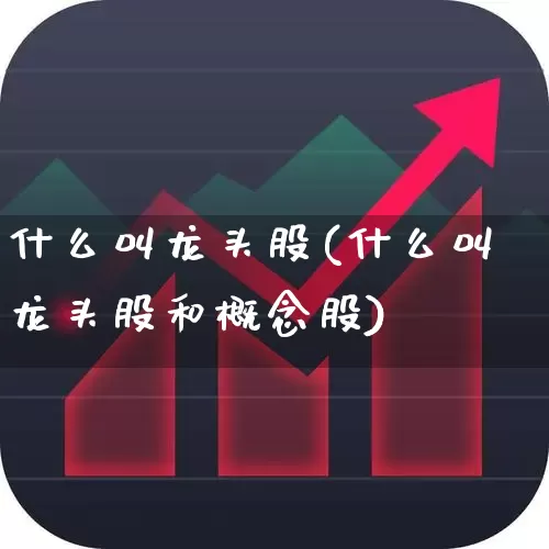 什么叫龙头股(什么叫龙头股和概念股)_https://www.ccit-cctv.com_深交所_第1张