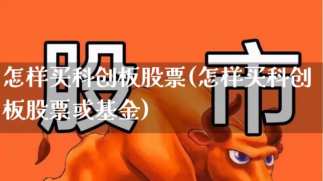 怎样买科创板股票(怎样买科创板股票或基金)_https://www.ccit-cctv.com_深交所_第1张