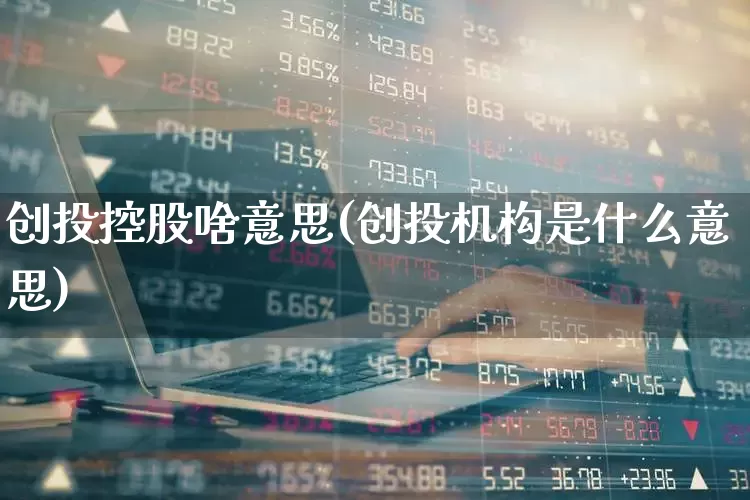 创投控股啥意思(创投机构是什么意思)_https://www.ccit-cctv.com_科创板_第1张