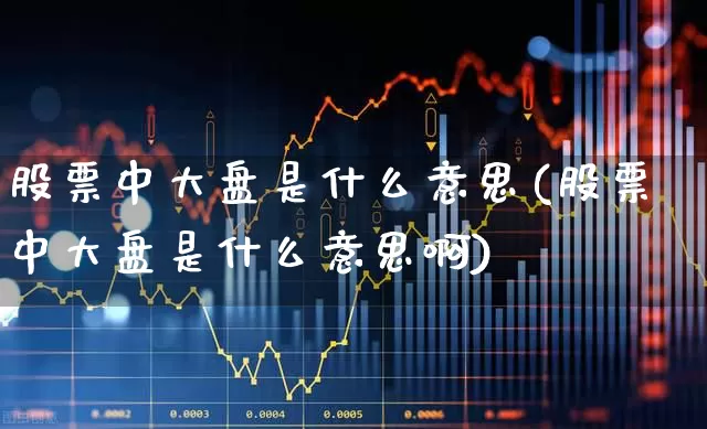 股票中大盘是什么意思(股票中大盘是什么意思啊)_https://www.ccit-cctv.com_北交所_第1张