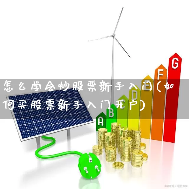 怎么学会炒股票新手入门(如何买股票新手入门开户)_https://www.ccit-cctv.com_北交所_第1张