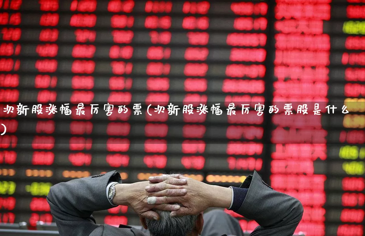 次新股涨幅最厉害的票(次新股涨幅最厉害的票股是什么)_https://www.ccit-cctv.com_北交所_第1张