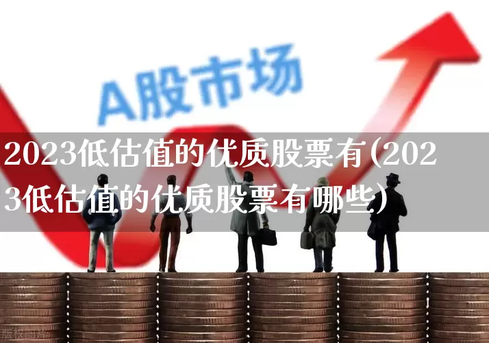2023低估值的优质股票有(2023低估值的优质股票有哪些)_https://www.ccit-cctv.com_北交所_第1张