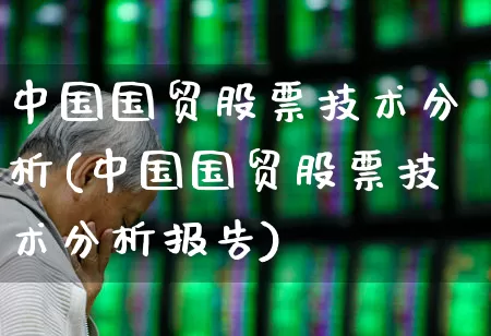 中国国贸股票技术分析(中国国贸股票技术分析报告)_https://www.ccit-cctv.com_北交所_第1张