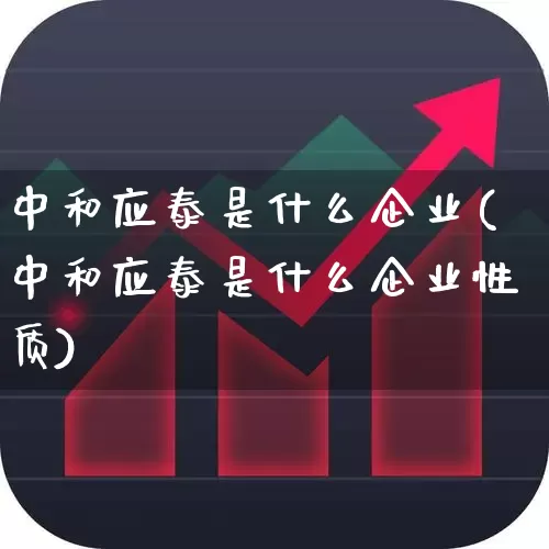 中和应泰是什么企业(中和应泰是什么企业性质)_https://www.ccit-cctv.com_深交所_第1张
