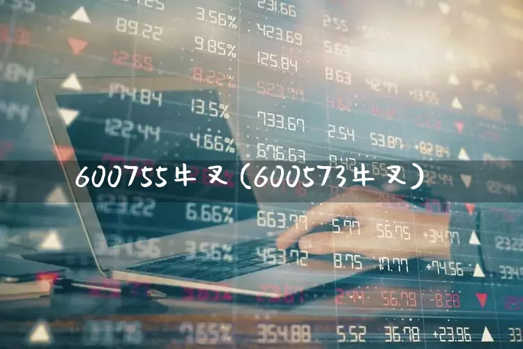 600755牛叉(600573牛叉)_https://www.ccit-cctv.com_北交所_第1张