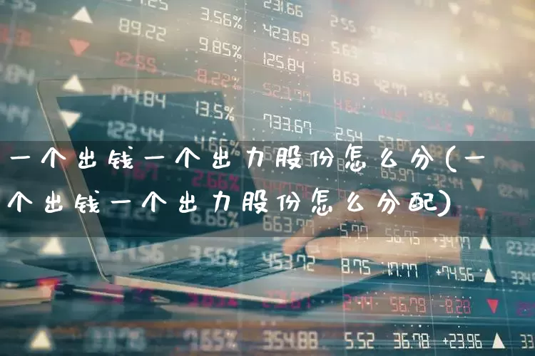 一个出钱一个出力股份怎么分(一个出钱一个出力股份怎么分配)_https://www.ccit-cctv.com_上交所_第1张