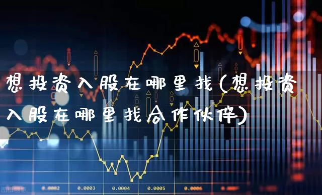 想投资入股在哪里找(想投资入股在哪里找合作伙伴)_https://www.ccit-cctv.com_上交所_第1张