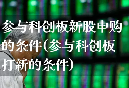 参与科创板新股申购的条件(参与科创板打新的条件)_https://www.ccit-cctv.com_上交所_第1张