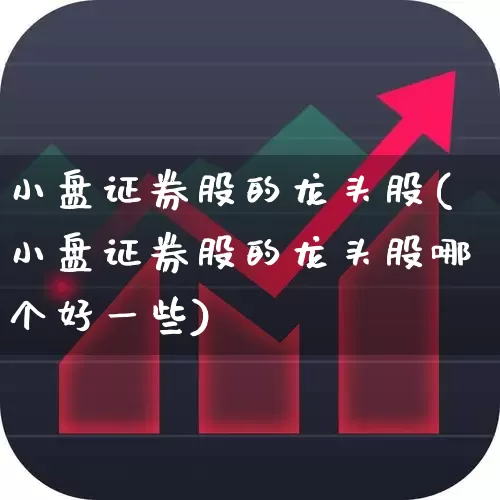 小盘证券股的龙头股(小盘证券股的龙头股哪个好一些)_https://www.ccit-cctv.com_创业板_第1张