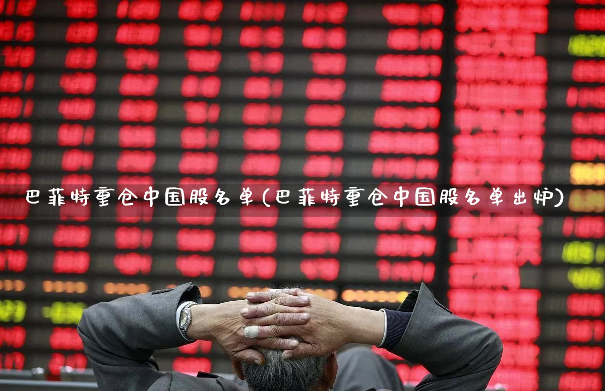 巴菲特重仓中国股名单(巴菲特重仓中国股名单出炉)_https://www.ccit-cctv.com_深交所_第1张