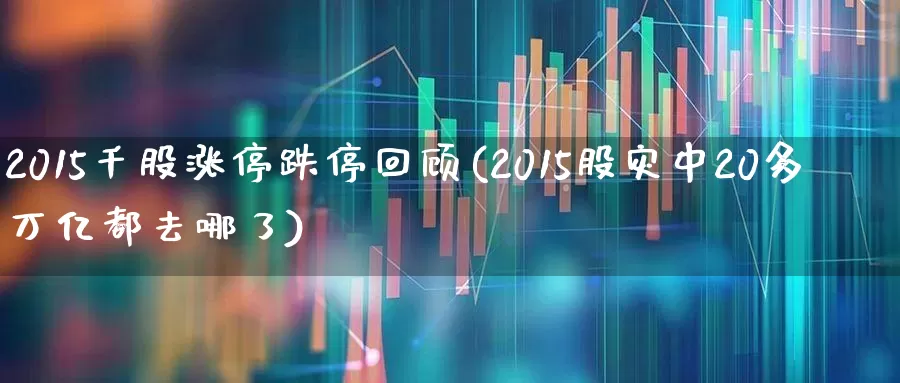 2015千股涨停跌停回顾(2015股灾中20多万亿都去哪了)_https://www.ccit-cctv.com_上交所_第1张
