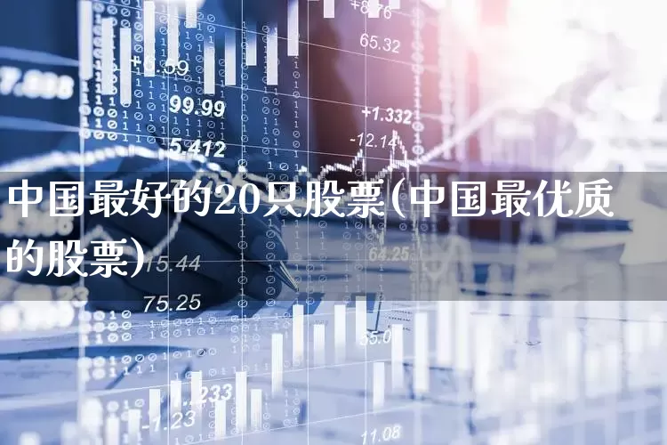 中国最好的20只股票(中国最优质的股票)_https://www.ccit-cctv.com_创业板_第1张