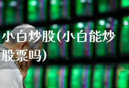 小白炒股(小白能炒股票吗)_https://www.ccit-cctv.com_创业板_第1张
